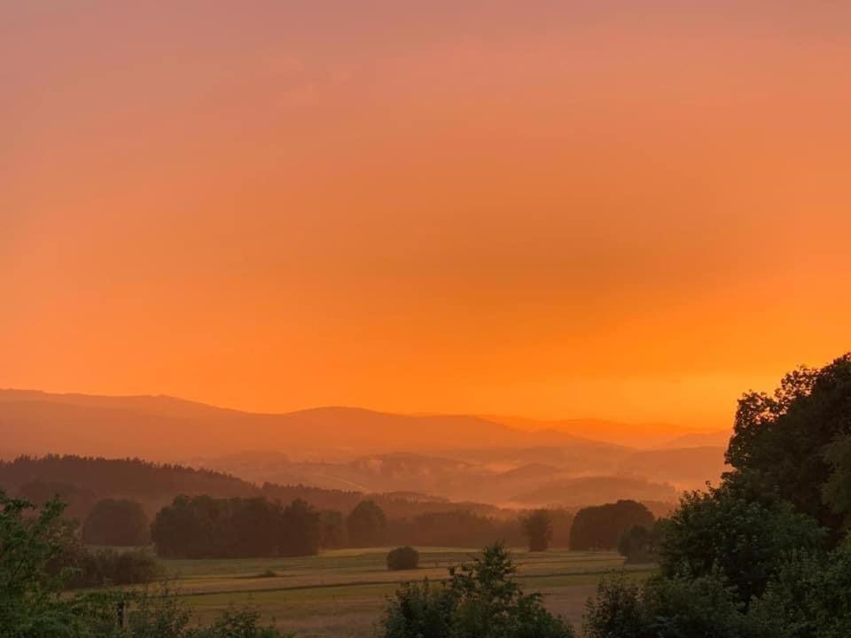 Burggasthof Weissenstein เรเกิน ภายนอก รูปภาพ